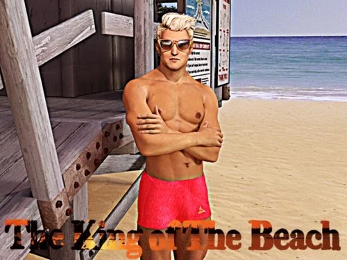 The King of the Beach [Version 0.5 Fixed Final] (Honeygames) 2017