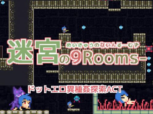 Labyrinth of 9-rooms-