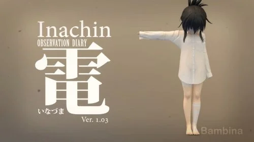 Inachin - Observation Diary