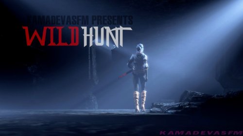 Wild Hunt Extended Cut