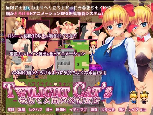 Twilight Cat's