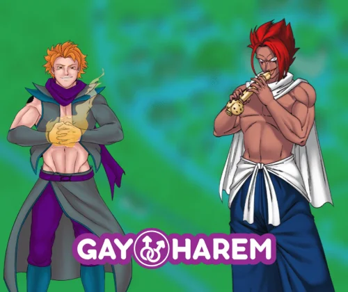 Gay Harem