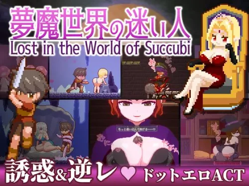 Lost in the World of Succubi